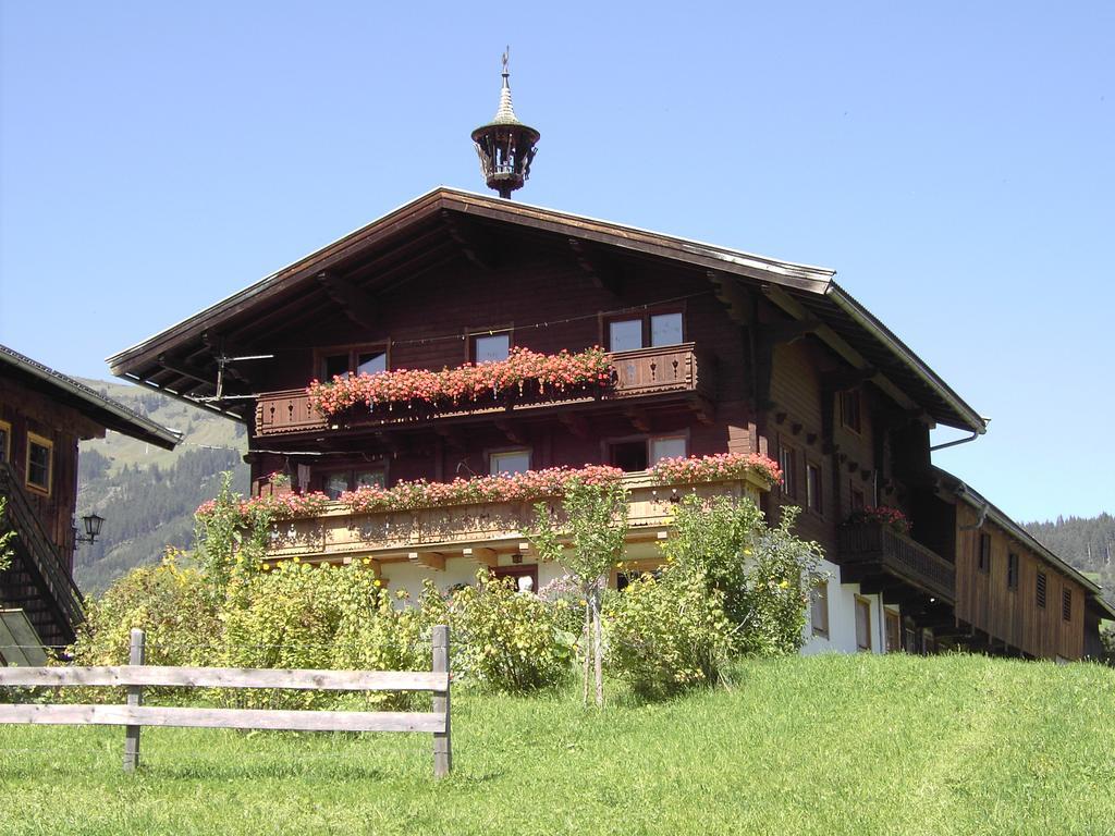 Willa Mitterhaidgut Hollersbach im Pinzgau Zewnętrze zdjęcie